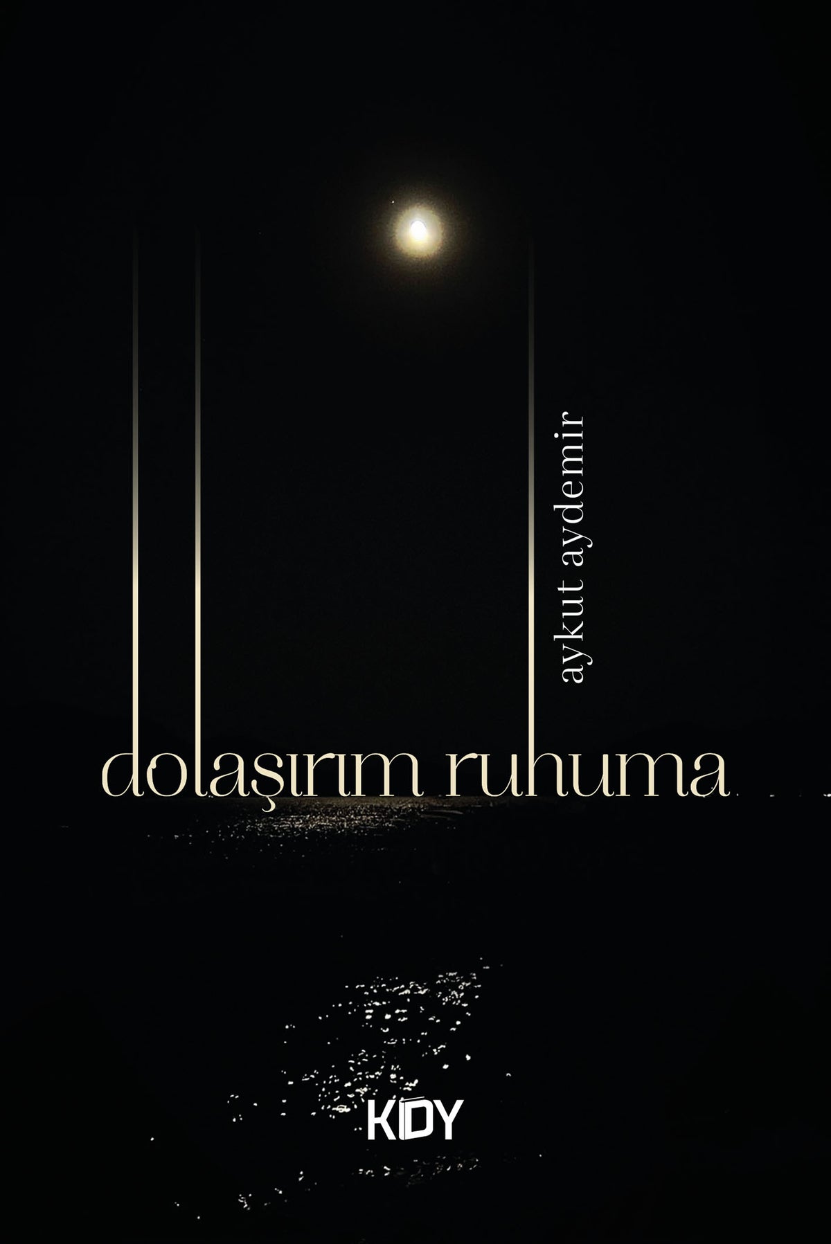 Dolaşırım Ruhuma - Aykut Aydemir kitap kapağı