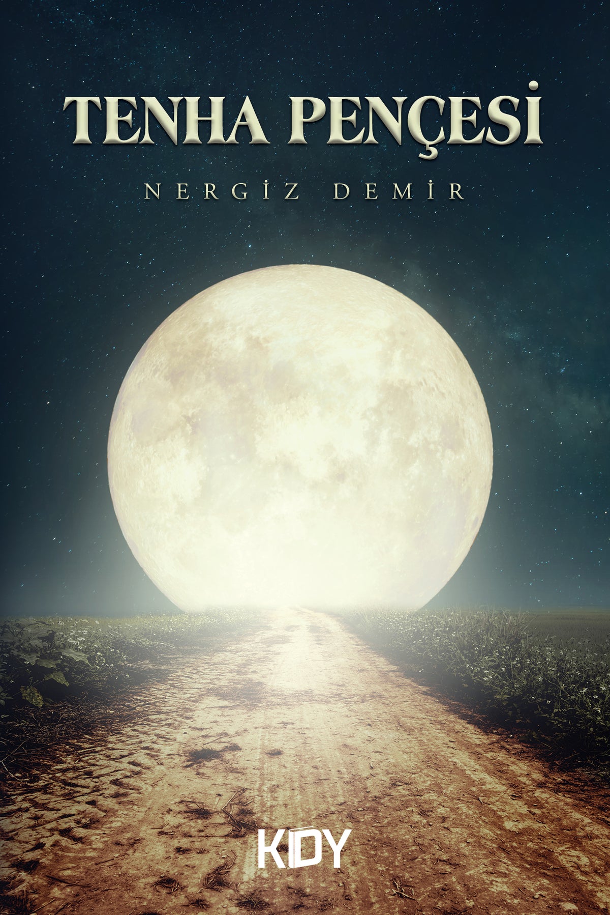 Tenha Pençesi - Nergiz Demir kitap kapağı