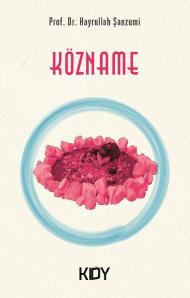 Közname - Prof. Dr. Hayrullah Şanzumi kitap kapağı