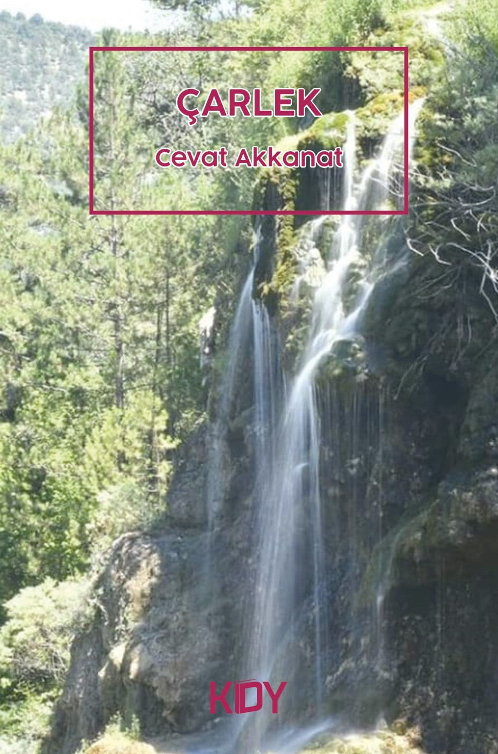 Çarlek - Cevat Akkanat kitap kapağı