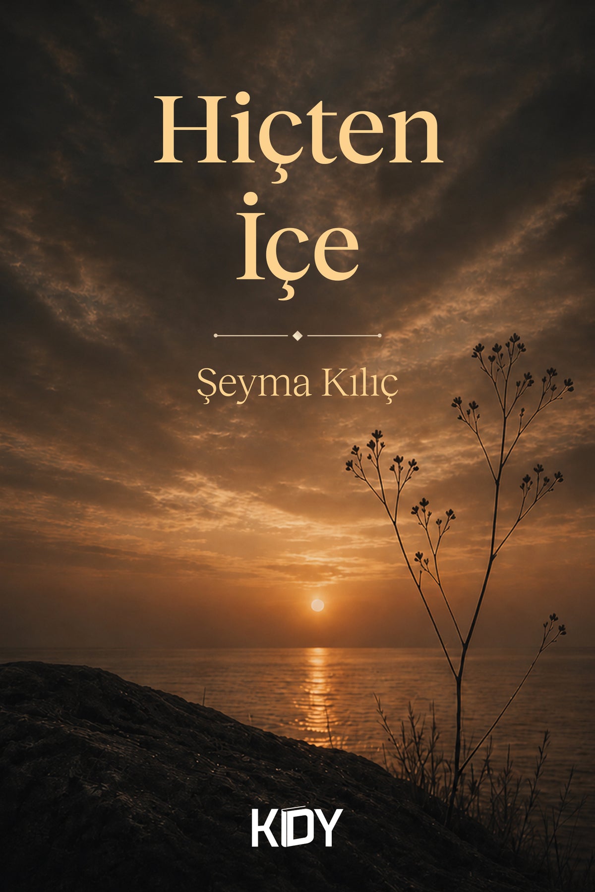 Hiçten İçe - Şeyma Kılıç kitap kapağı