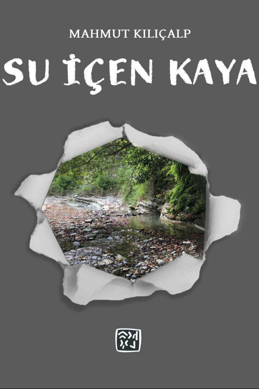 Su İçen Kaya - Mahmut Kılıçalp kitap kapağı