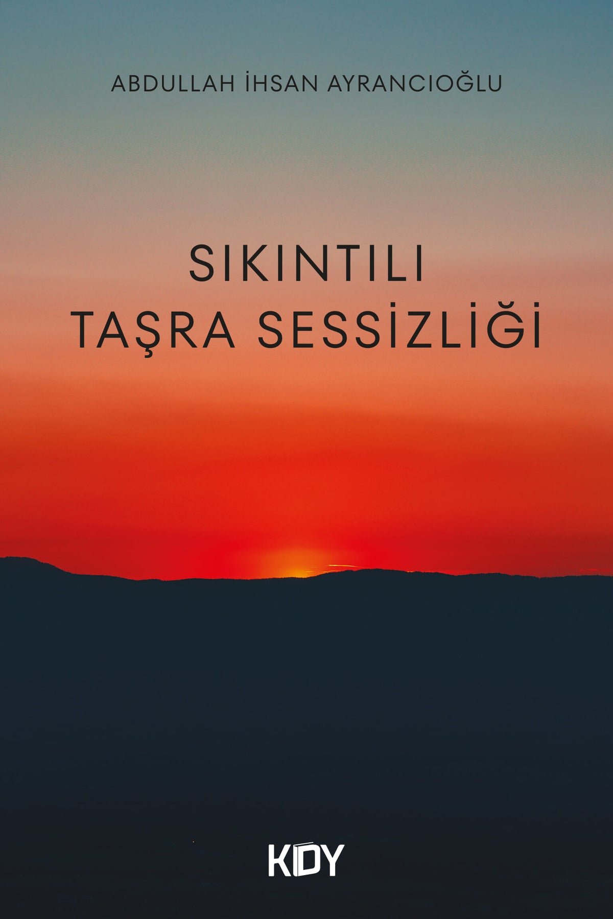 Sıkıntılı Taşra Sessizliği - Abdullah İhsan Ayrancıoğlu kitap kapağı