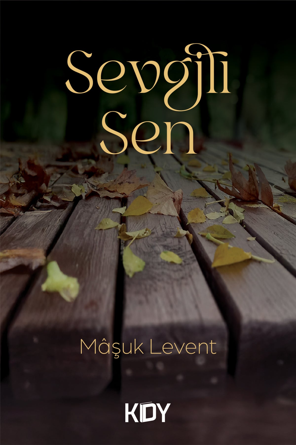 Sevgili Sen - Mâşuk Levent kitap kapağı