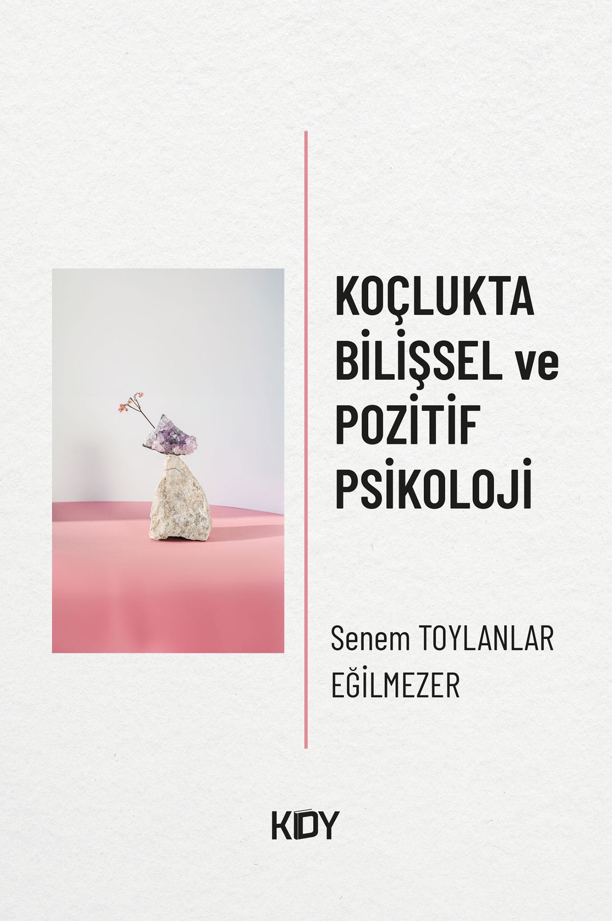 Koçlukta Bilişsel ve Pozitif Psikoloji - Senem Eğilmezer kitap kapağı