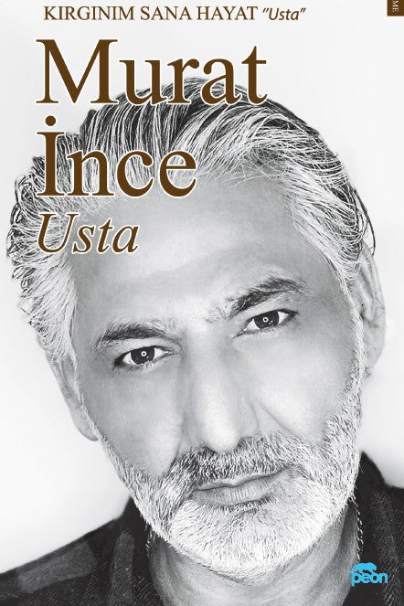 Usta Kırgınım Sana Hayat - Murat İnce kitap kapağı
