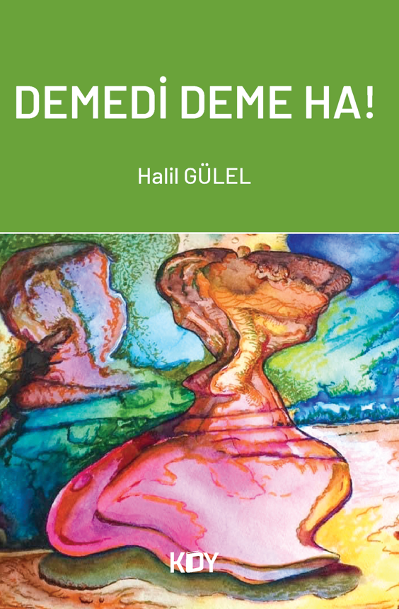 Demedi Deme Ha! - Halil Gülel kitap kapağı