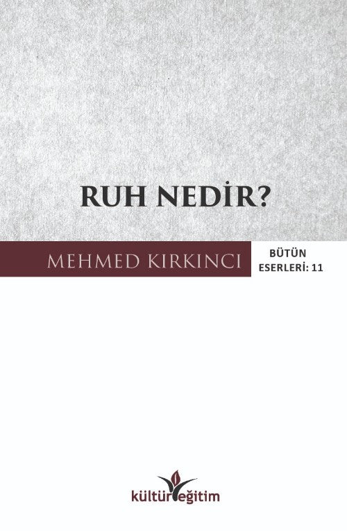 Ruh Nedir? - Mehmed Kırkıncı kitap kapağı