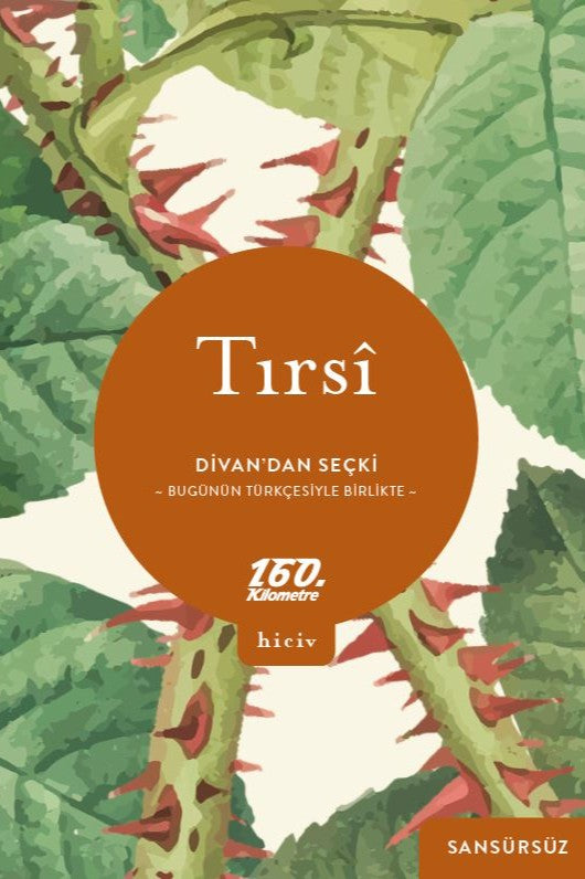 Divan'dan Seçki Bugünün Türkçesiyle Birlikte / Sansürsüz - Tırsî kitap kapağı