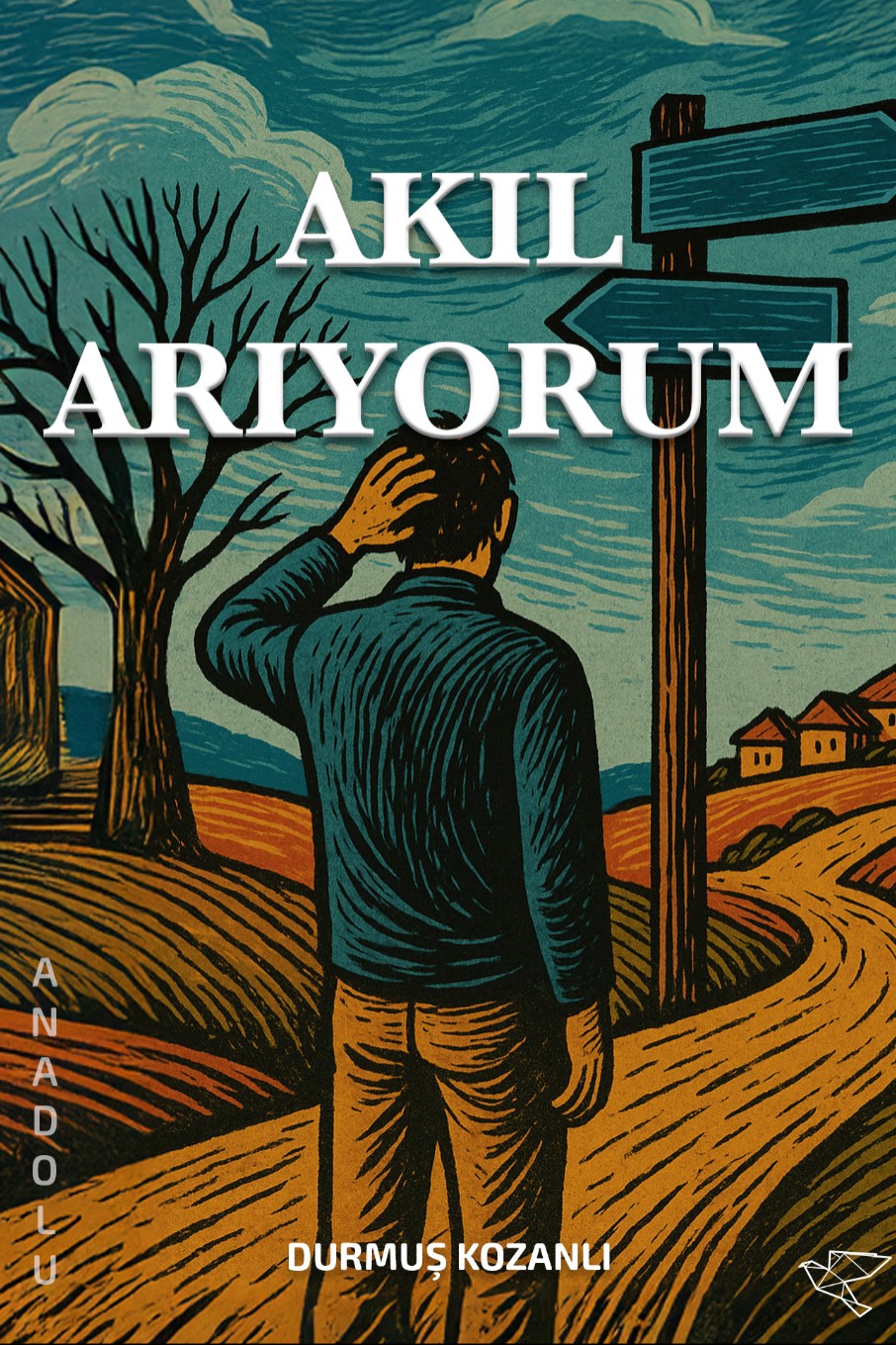 Akıl Arıyorum - Durmuş Kozanlı kitap kapağı