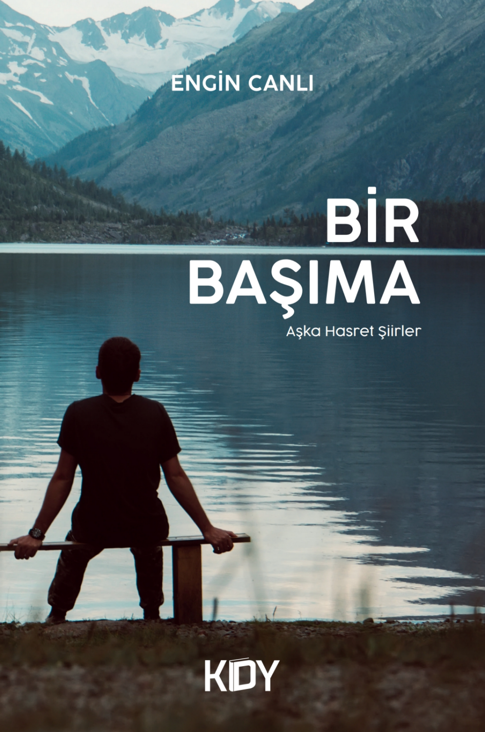 Bir Başıma - Engin Canlı kitap kapağı