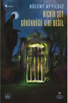 Hiçbir Şey Göründüğü Gibi Değil - Bülent Ayyıldız kitap kapağı