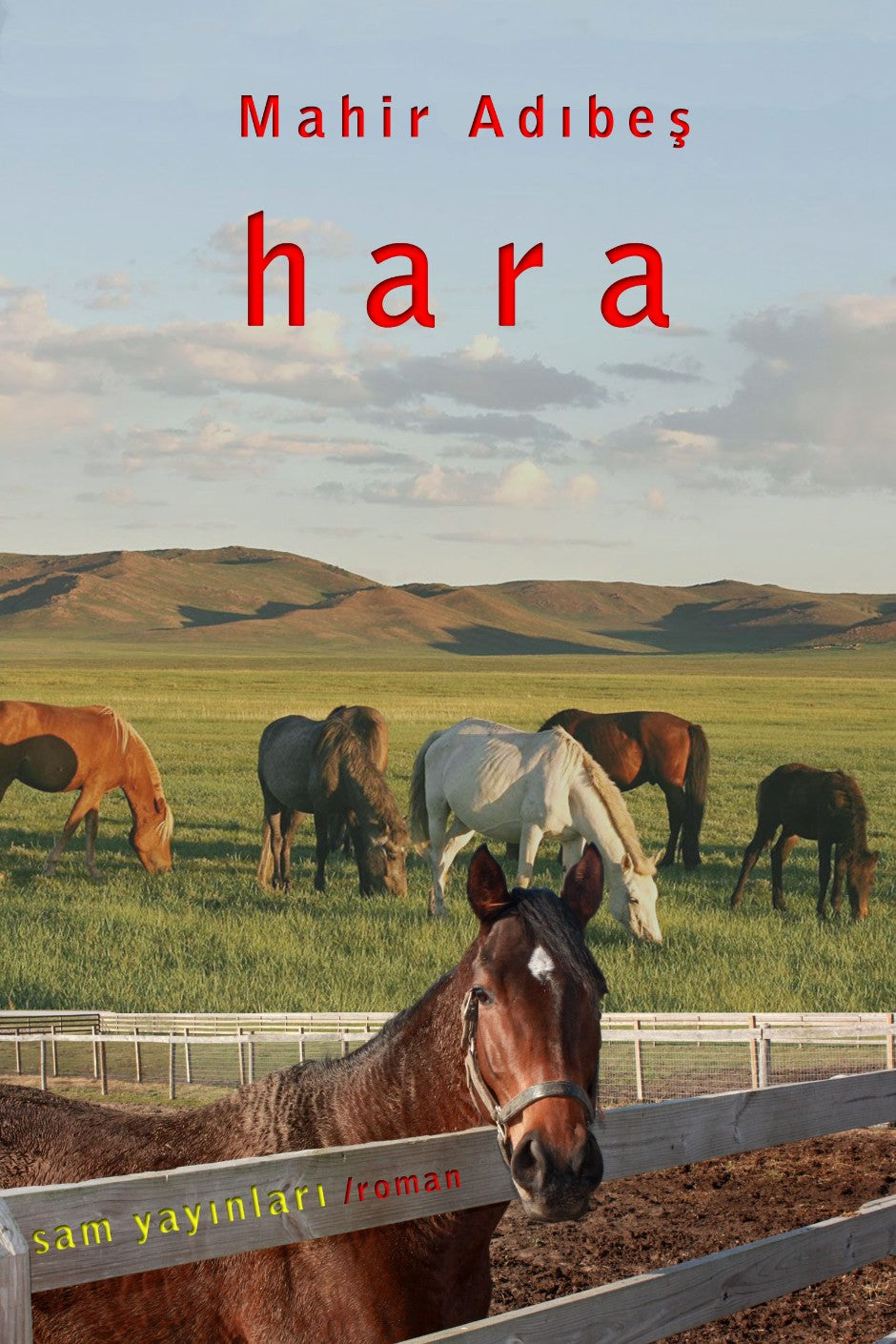 Hara - Mahir Adıbeş kitap kapağı