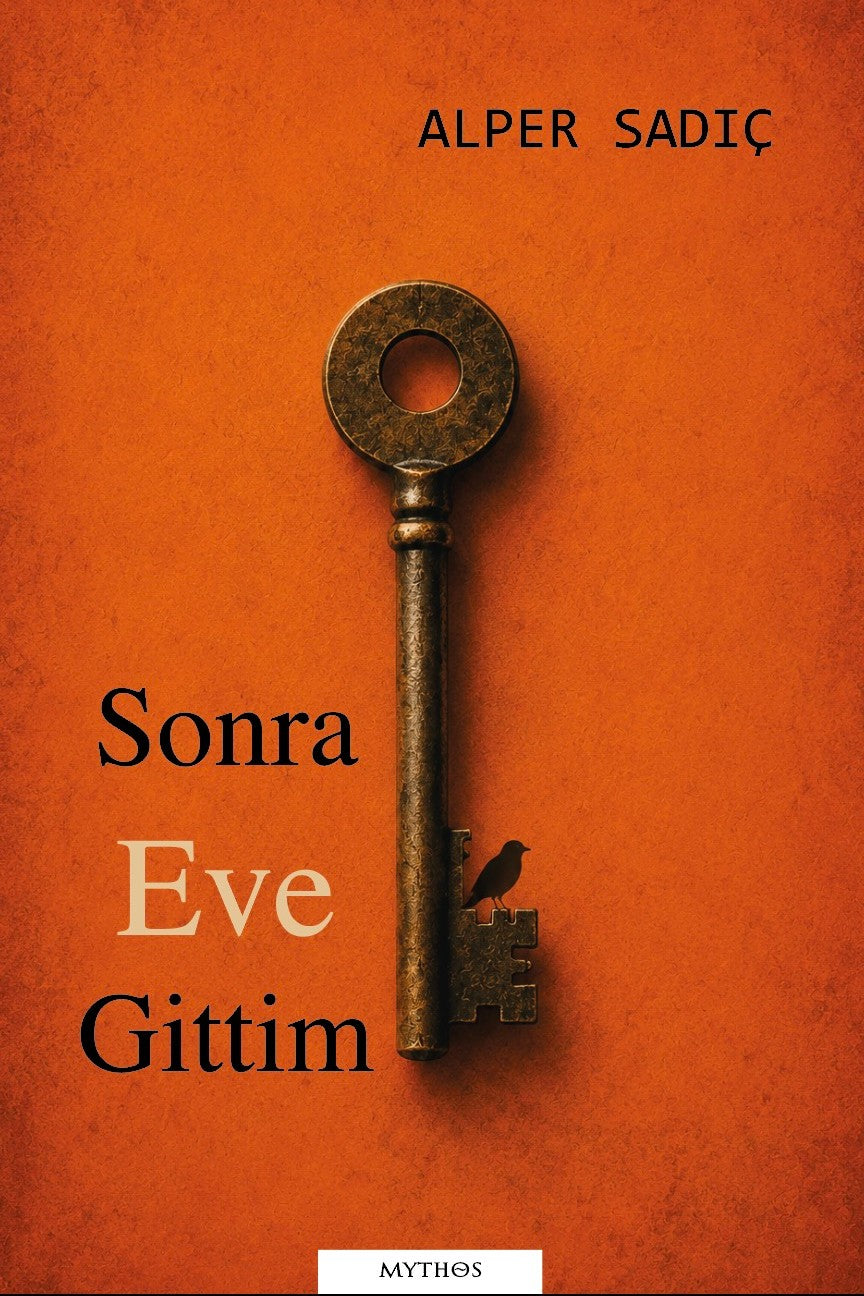 Sonra Eve Gittim - Alper Sadıç kitap kapağı