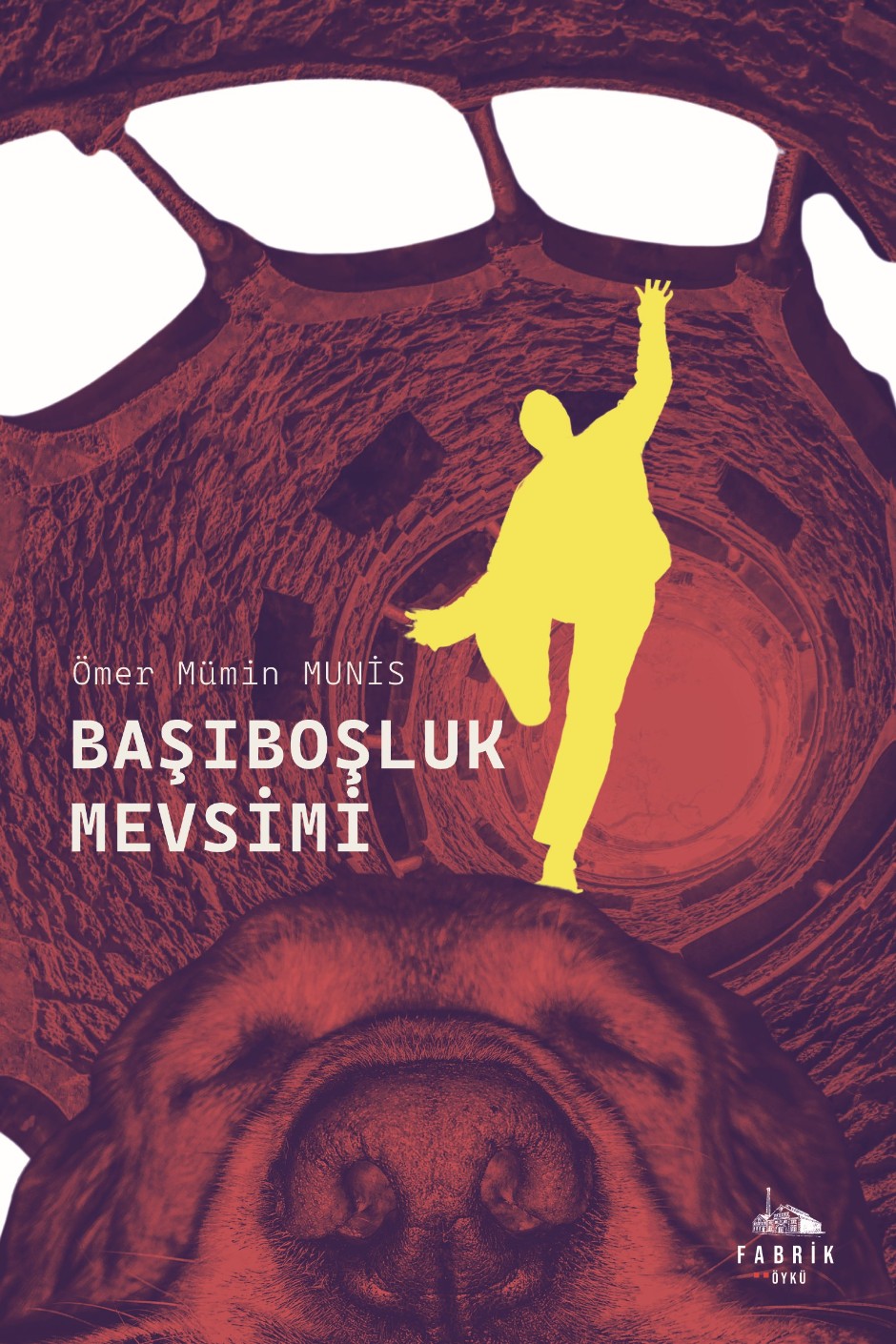 Başıboşluk Mevsimi - Ömer Mümin Munis kitap kapağı