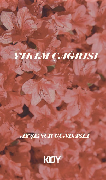 Yıkım Çağrısı - Ayşenur Gündaşlı kitap kapağı