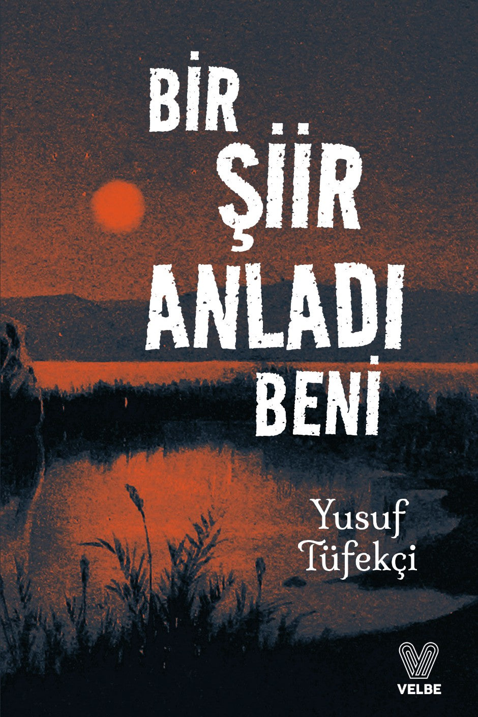 Bir Şiir Anladı Beni - Yusuf Tüfekçi kitap kapağı