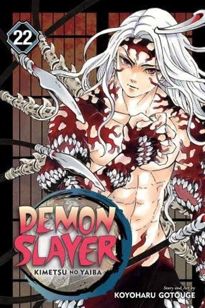 Demon Slayer: Kimetsu no Yaiba Vol. 22: Volume 22 | Viz Media (İnce Kapak)  - Resim 1