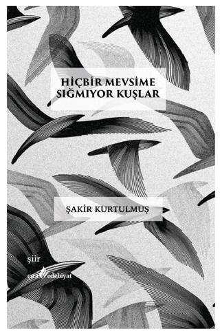 Hiçbir Mevsime Sığmıyor Kuşlar