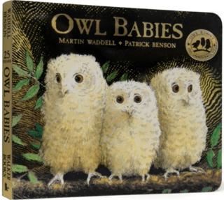 Owl Babies | Walker Books (Ciltsiz)  - Resim 1