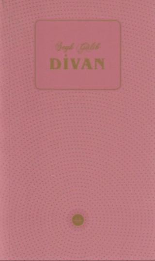 Şeyh Galib Divanı