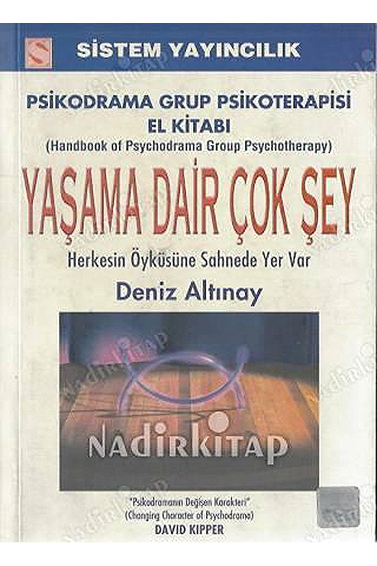 Yaşama Dair Çok Şey - Deniz Altınay kitap kapağı