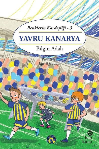 Yavru Kanarya / Renklerin Kardeşliği 3 - Bilgin Adalı kitap kapağı
