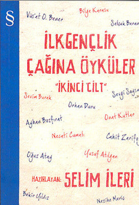 İlk Gençlik Çağına Öyküler - 2. Cilt | Everest Yayınları