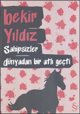 Sahipsizler Dünyadan Bir Atlı Geçti | Everest Yayınları