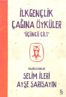 İlkgençlik Çağına Öyküler 3 | Everest Yayınları